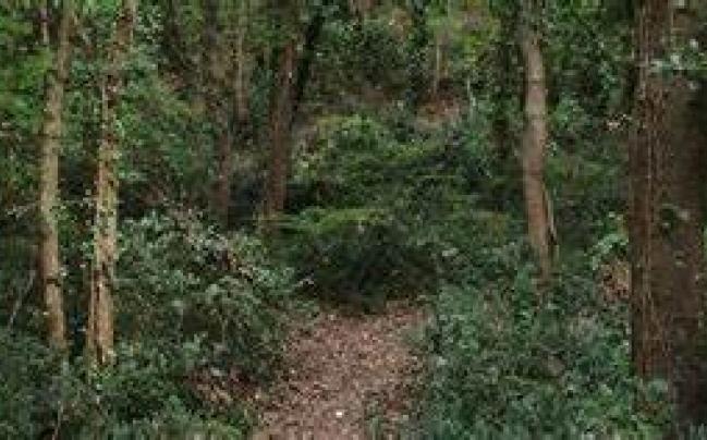 TRA MARE E NATURA