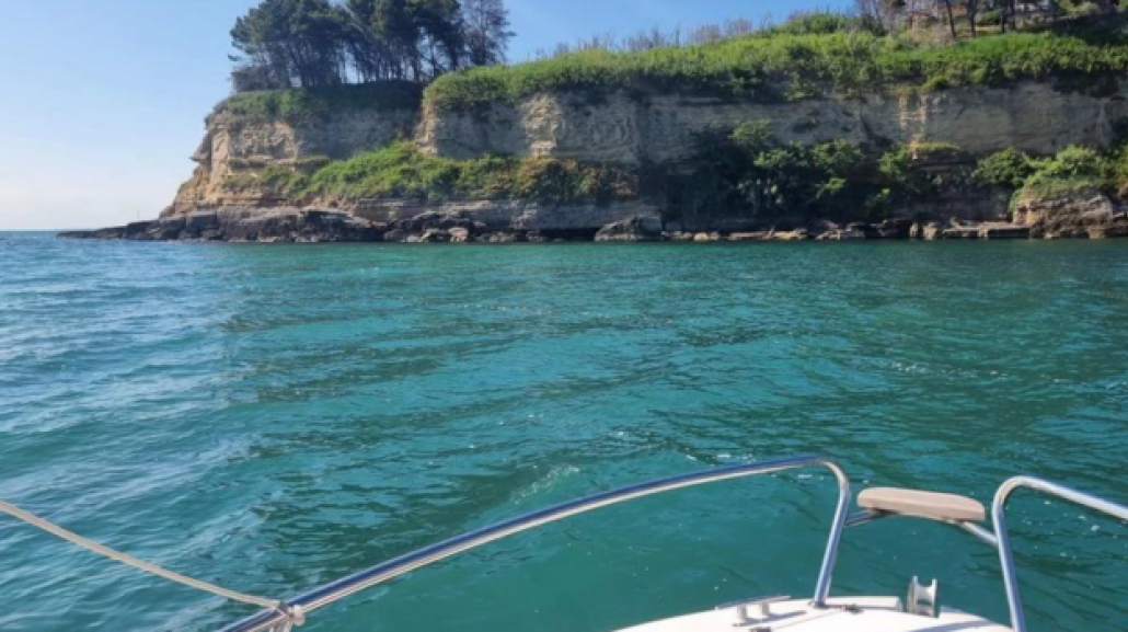 Dal sito web di Amici del Mare
