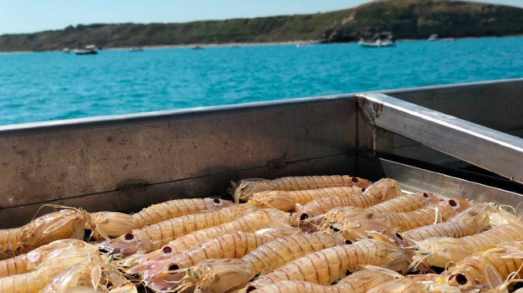 Stella Pescaturismo