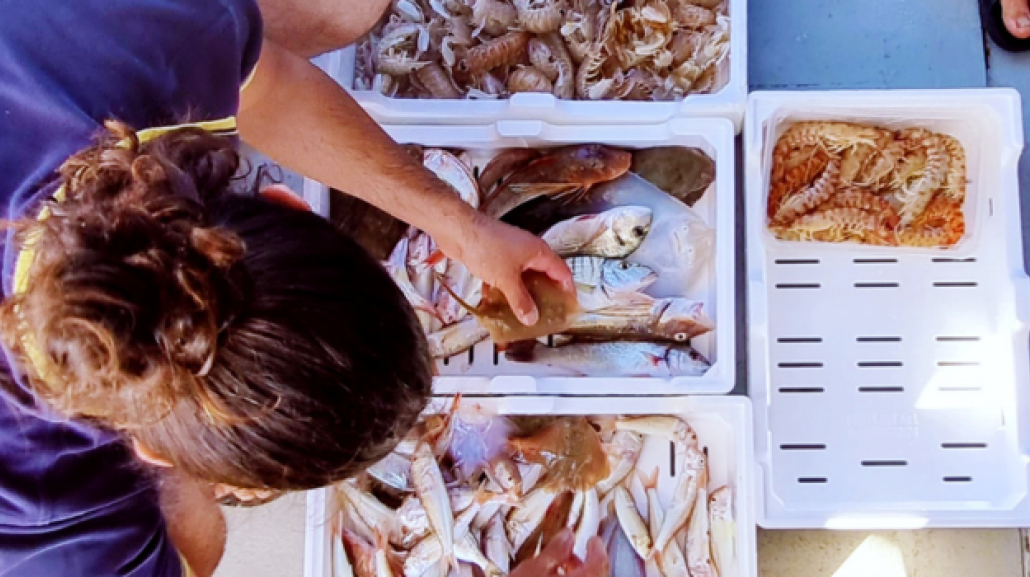 Stella Pescaturismo