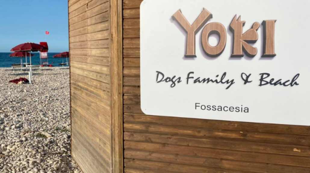 Yoki Dogs Family & Beach |