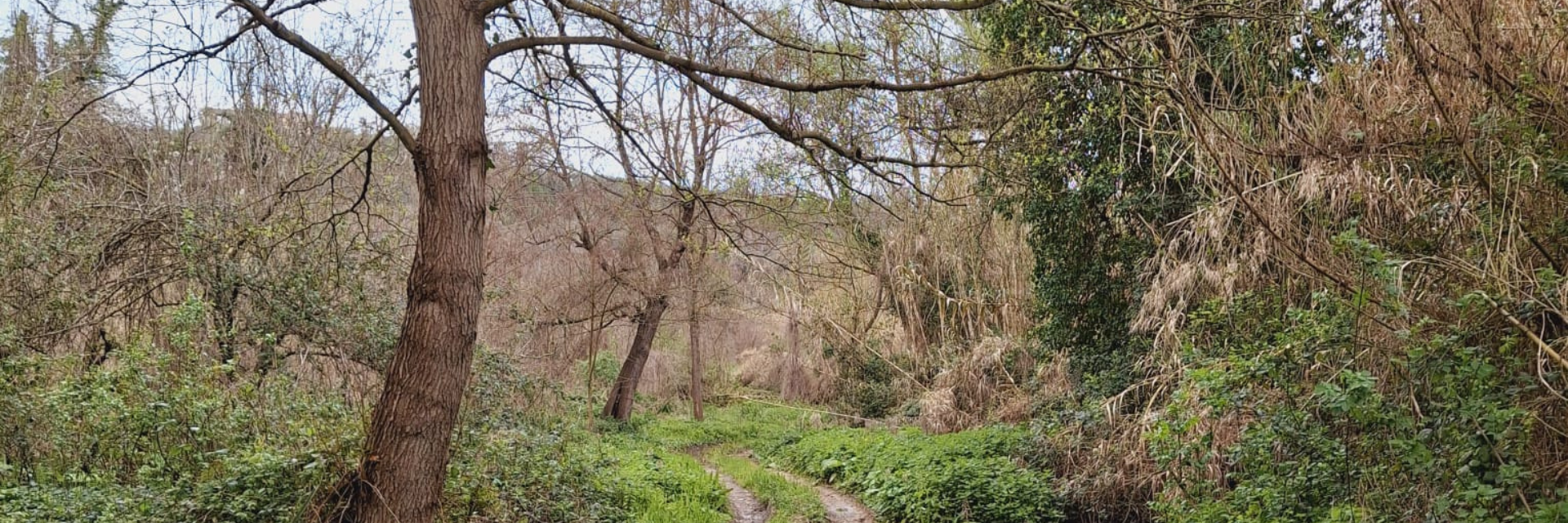 camminata