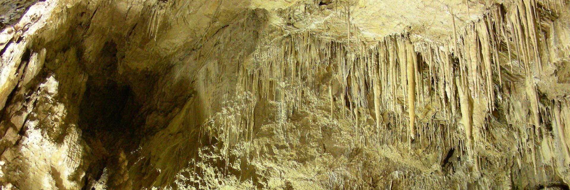 Dettaglio Grotte del Cavallone
