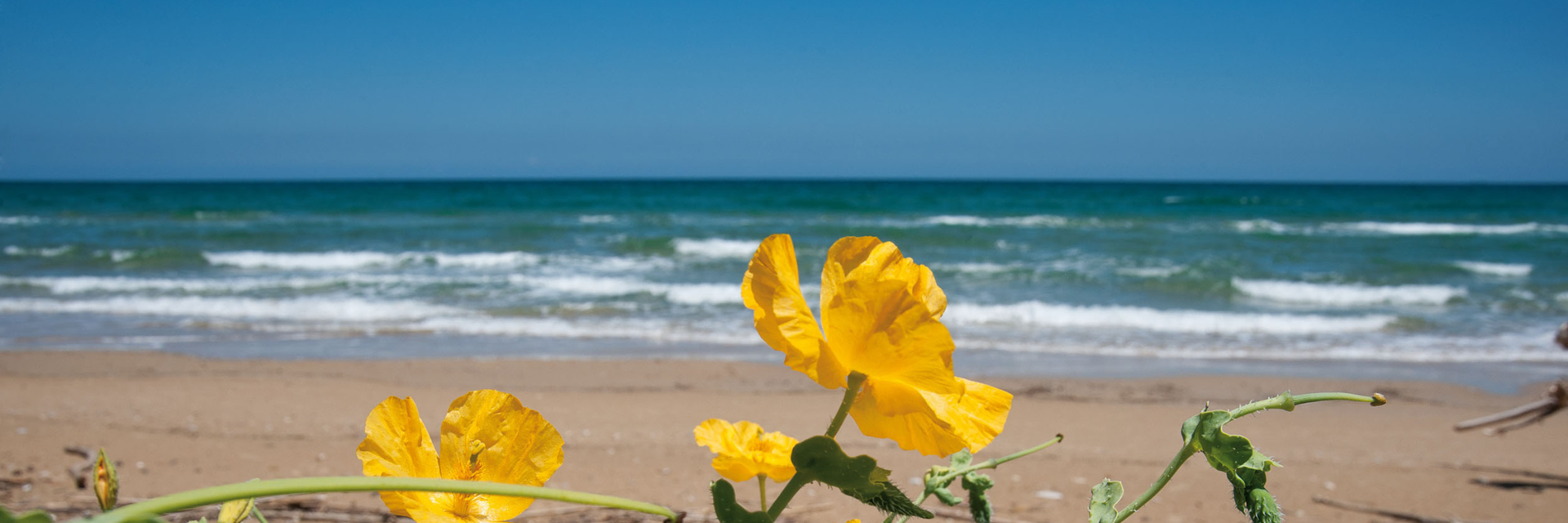 Riserve naturali a due passi dal mare