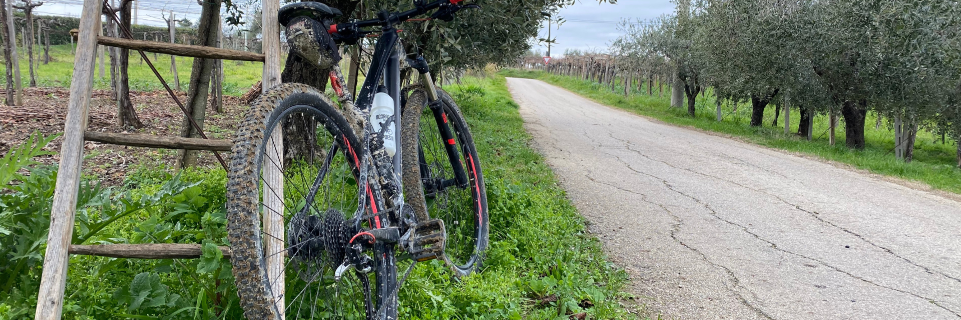 autunno bici autunno bici